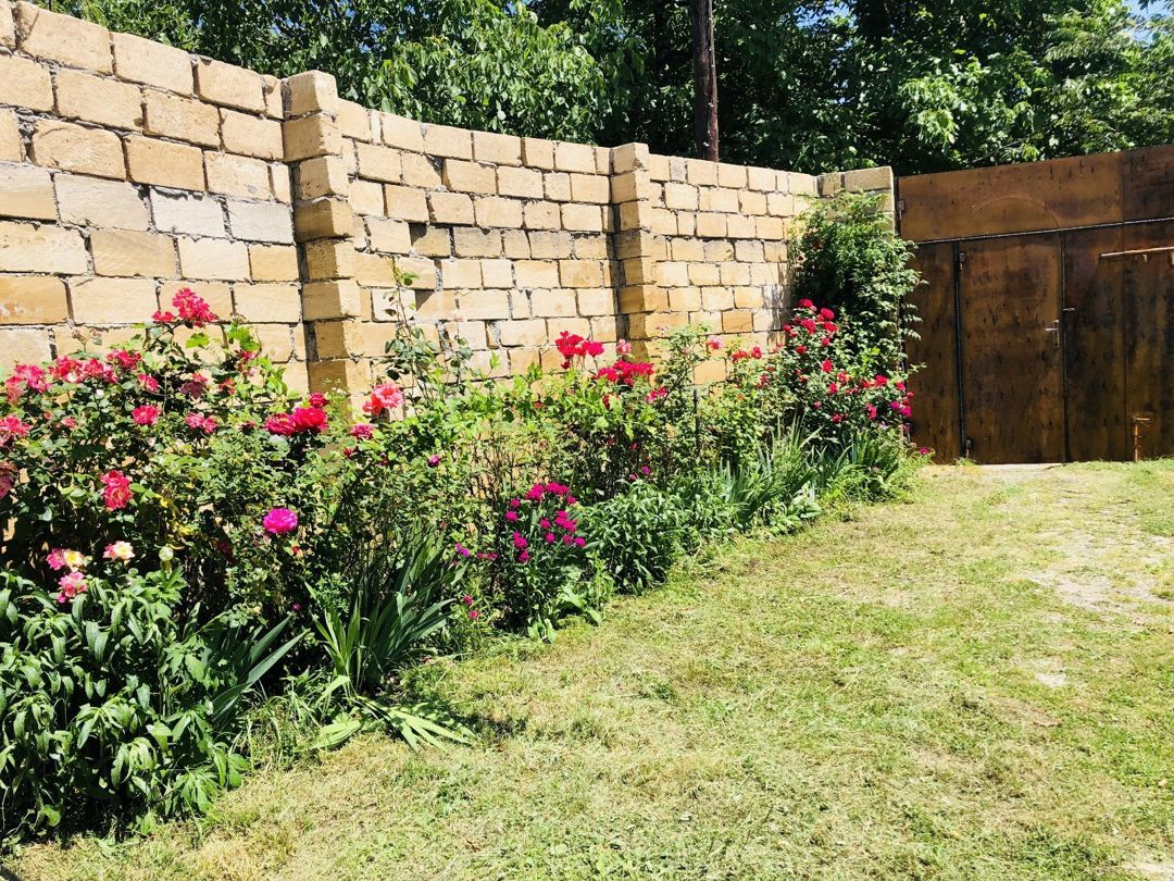 Həyət evi kirayə verilir, Qəbələ r. — Ev, villa, Qəbələ (5)