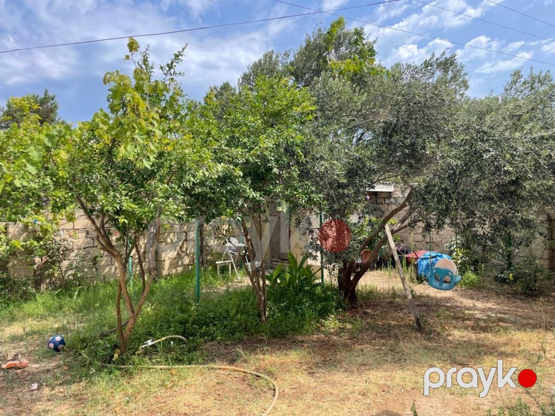 1 sot torpaq sahəsi, Albalı qəs. — Torpaq, Bakı (7)