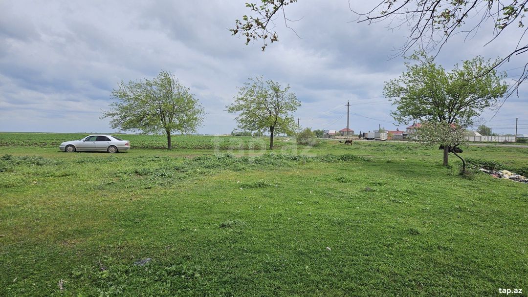 58 sot torpaq sahəsi, Cəlilabad r. — Torpaq, Cəlilabad (2)