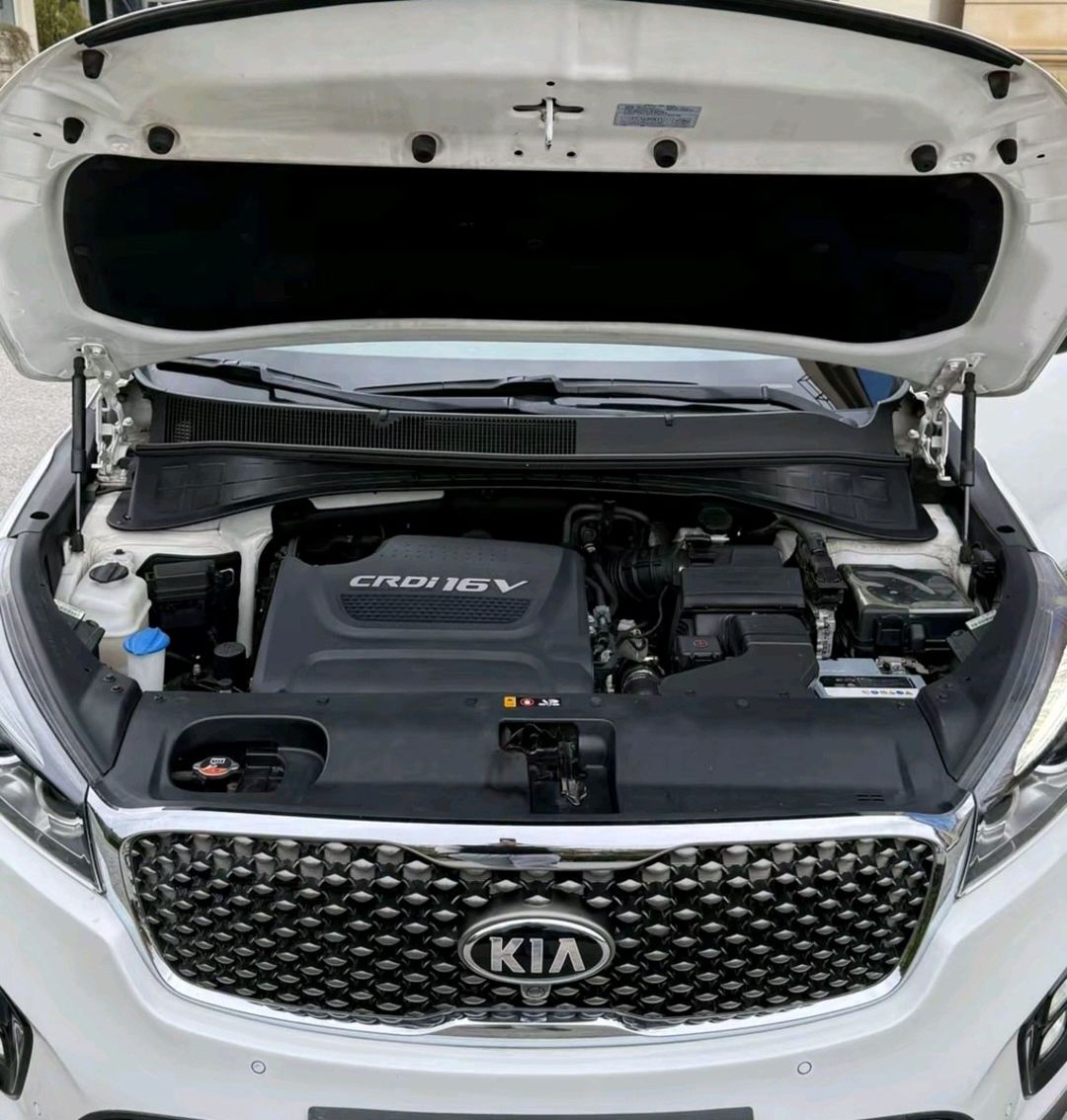 KIA Sorento, 2016 il — Avtomobillər, Ağdam (12)