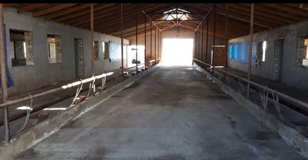 Şabran — kompleks ferma kompleksi, 7 dektar - 1