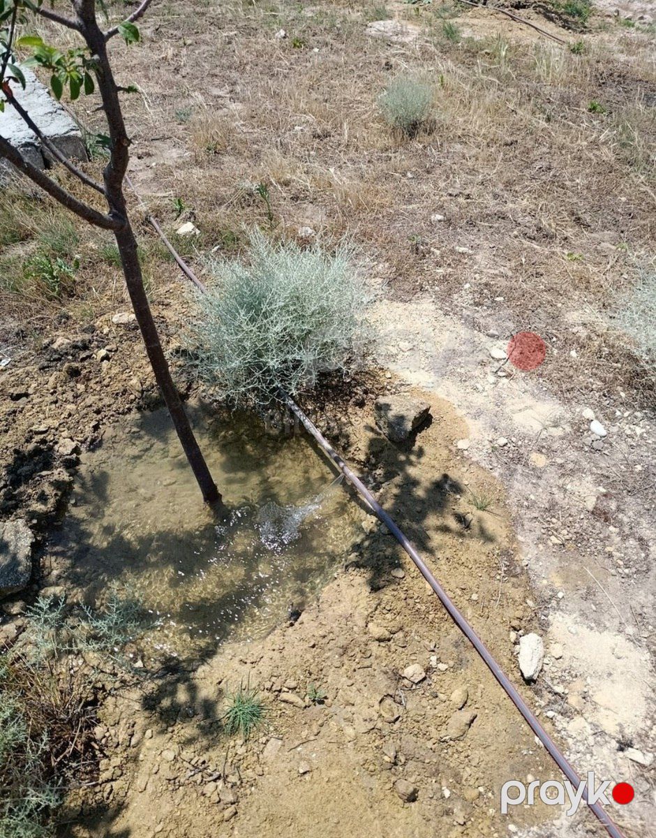 Satılır torpaq 10 sot — Torpaq, Bakı (11)