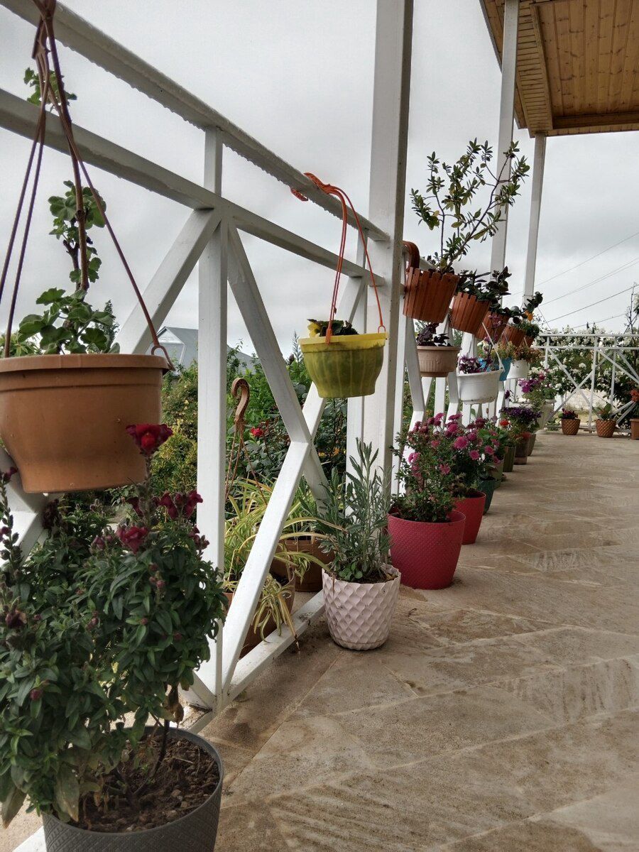 Həyət evi kirayə verilir, Şamaxı r. — Daşınmaz əmlak, Şamaxı (8)
