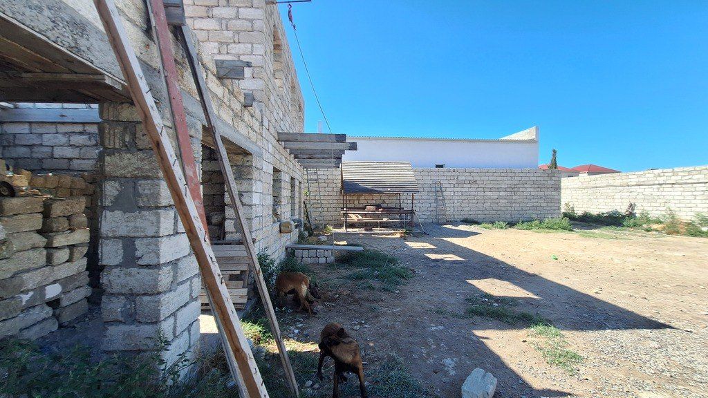 Satılır torpaq 6 sot — Torpaq, Bakı (8)