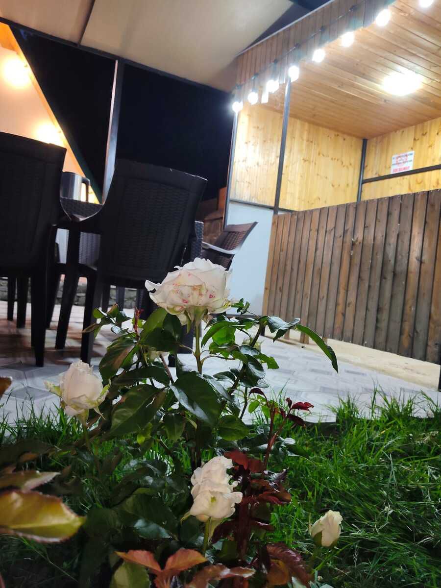 İcarəyə verilir 3 otaqlı həyət evi/bağ evi 70 m² — Ev, villa, İsmayıllı (7)