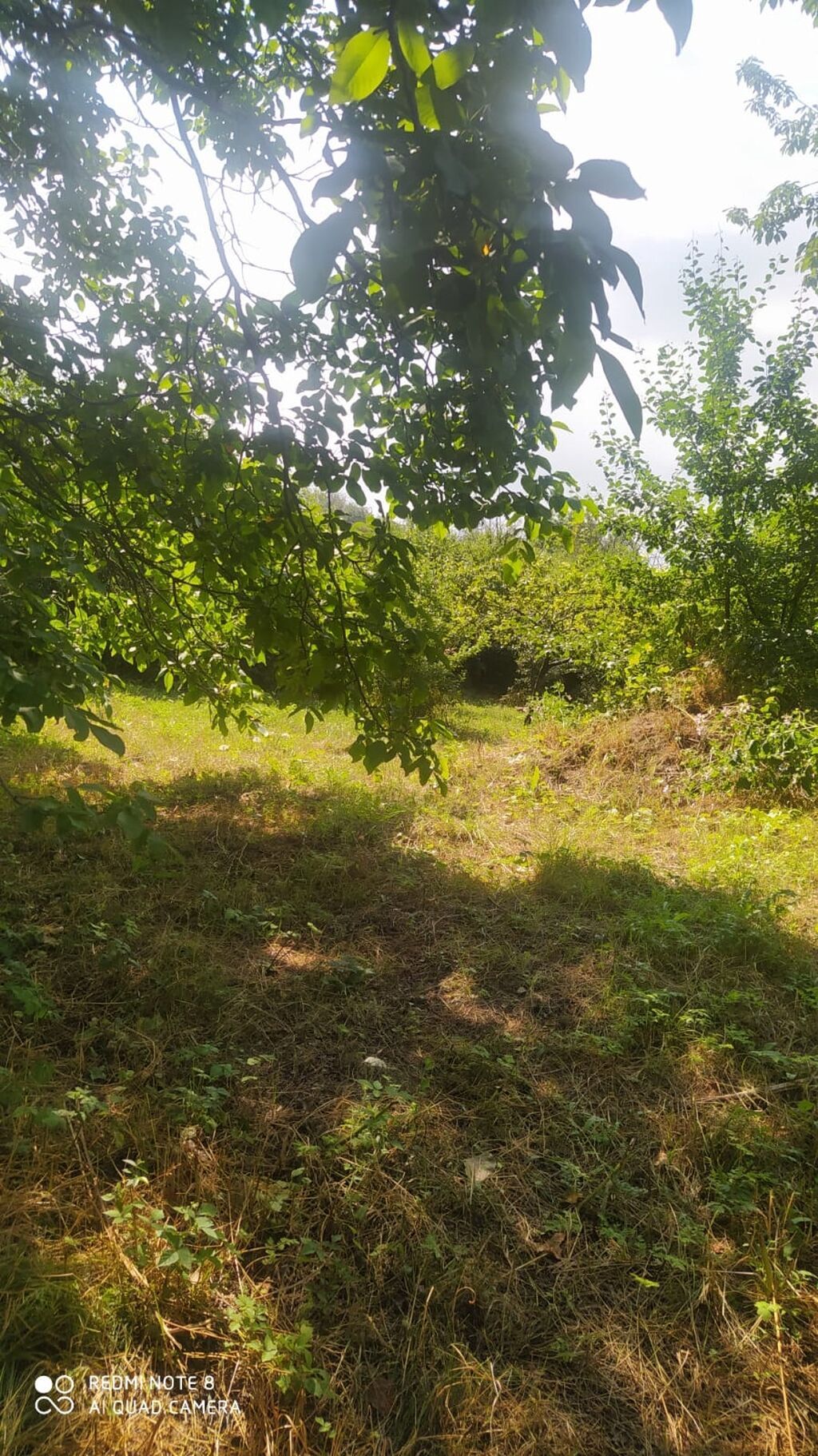 Gəncə, 4 kv. m, 1 otaqlı, Hovuzsuz, Su — Daşınmaz əmlak, Gəncə (5)