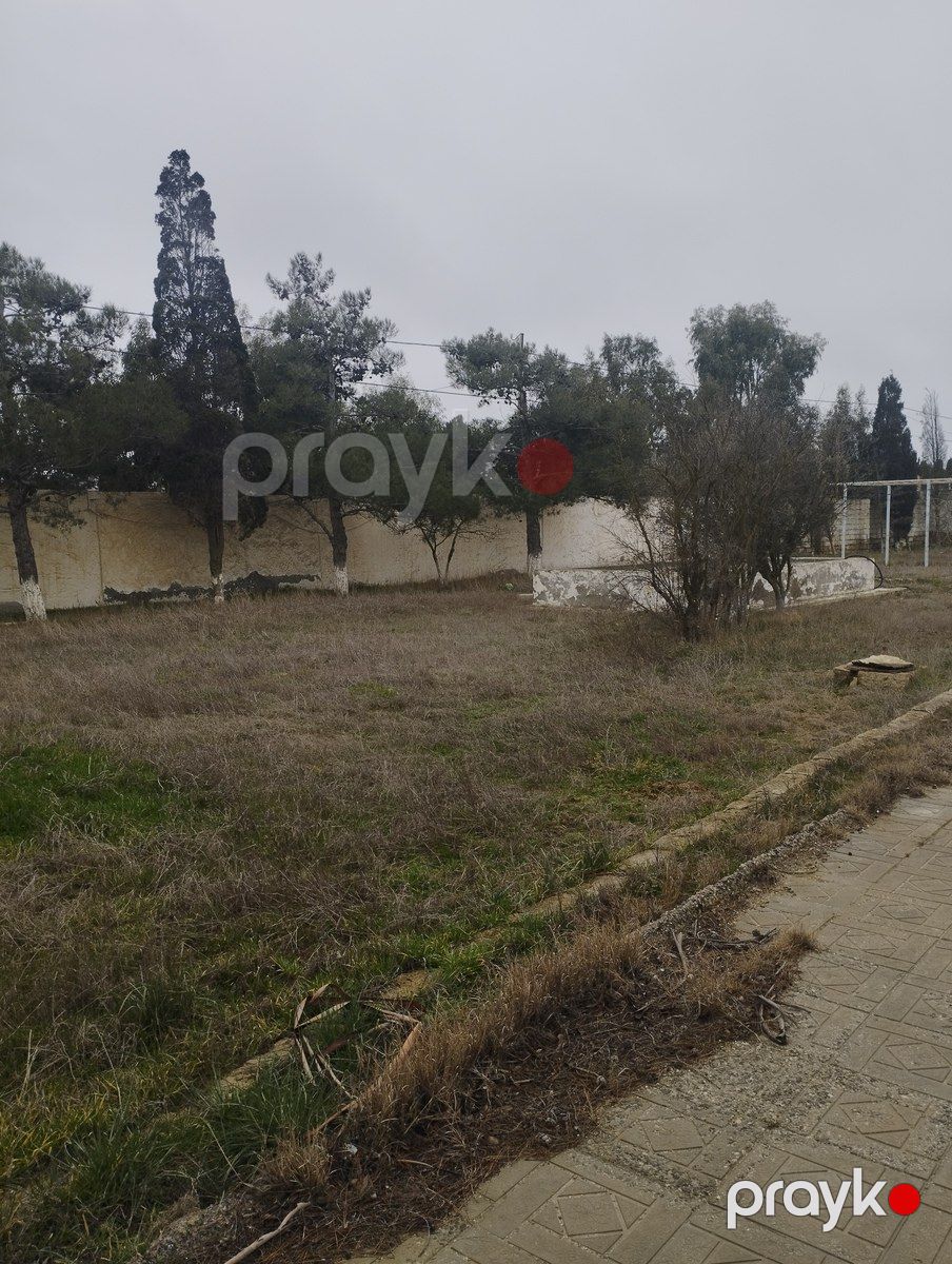 Satılır torpaq 14.5 sot — Torpaq, Bakı (4)
