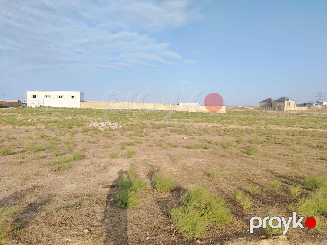 41 sot torpaq sahəsi, Saray qəs — Torpaq, Bakı (4)