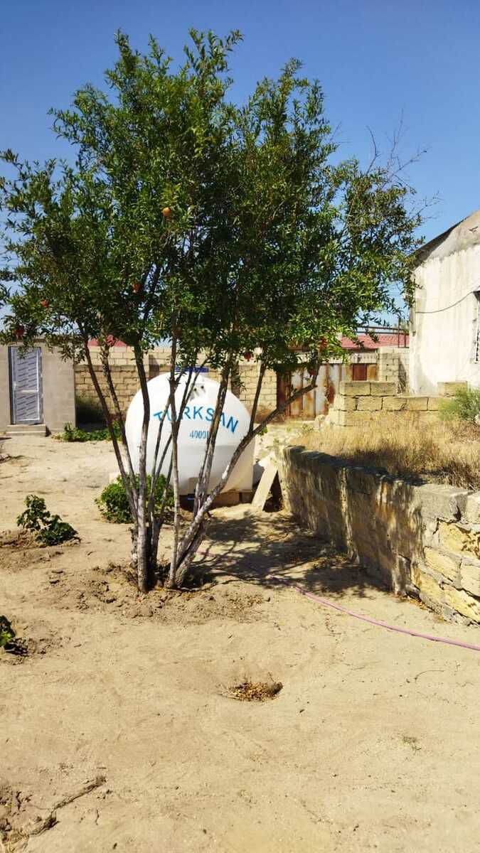 Satılır 2 otaqlı həyət evi/bağ evi 50 m² — Ev, villa, Bakı (4)