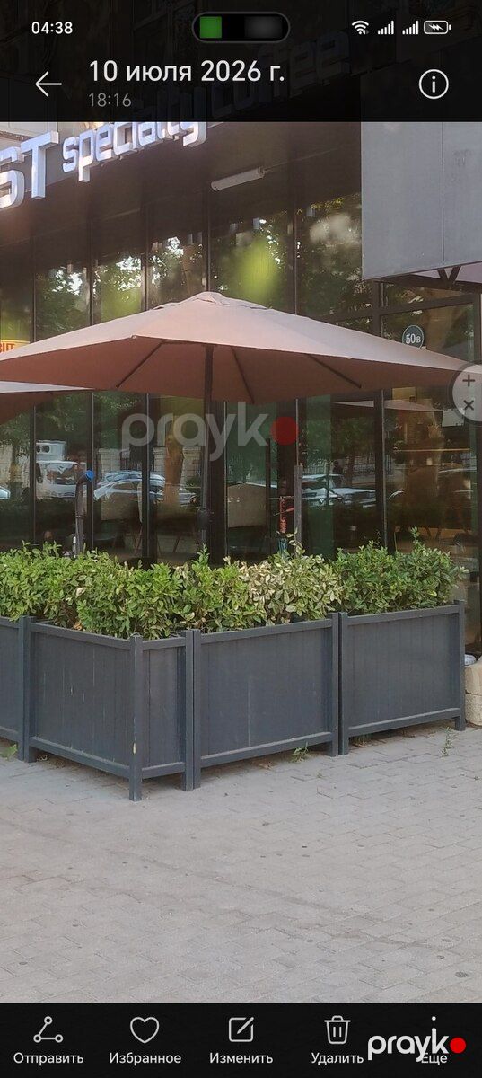 Dibçək — Bitkilər, Bakı (3)