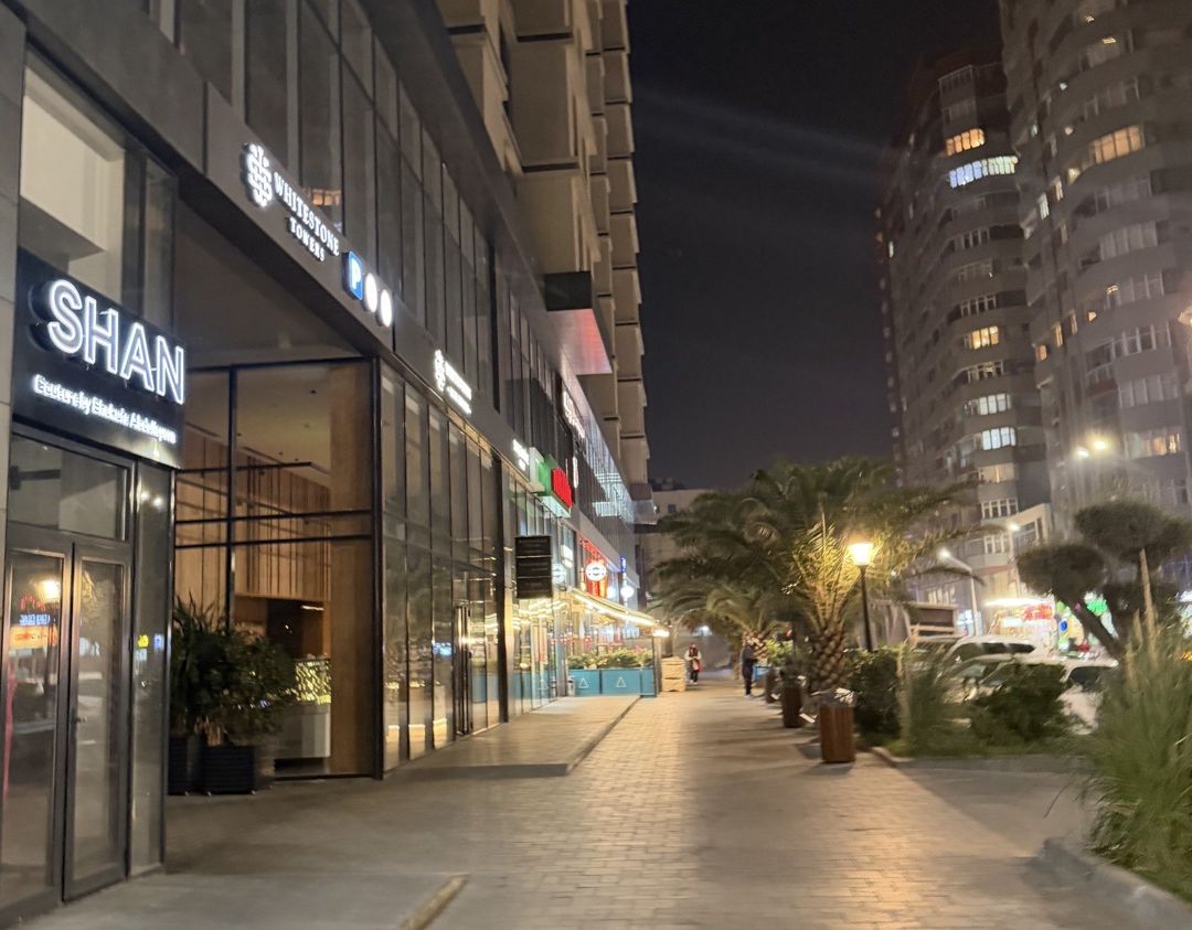 İcarəyə verilir 2 otaqlı yeni tikili 101 m² — Mənzil, Bakı (3)