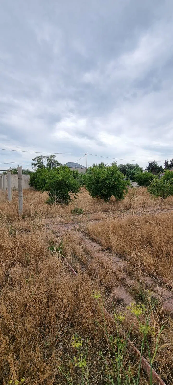 8.5 sot torpaq sahəsi satılır — Torpaq, Bakı (5)