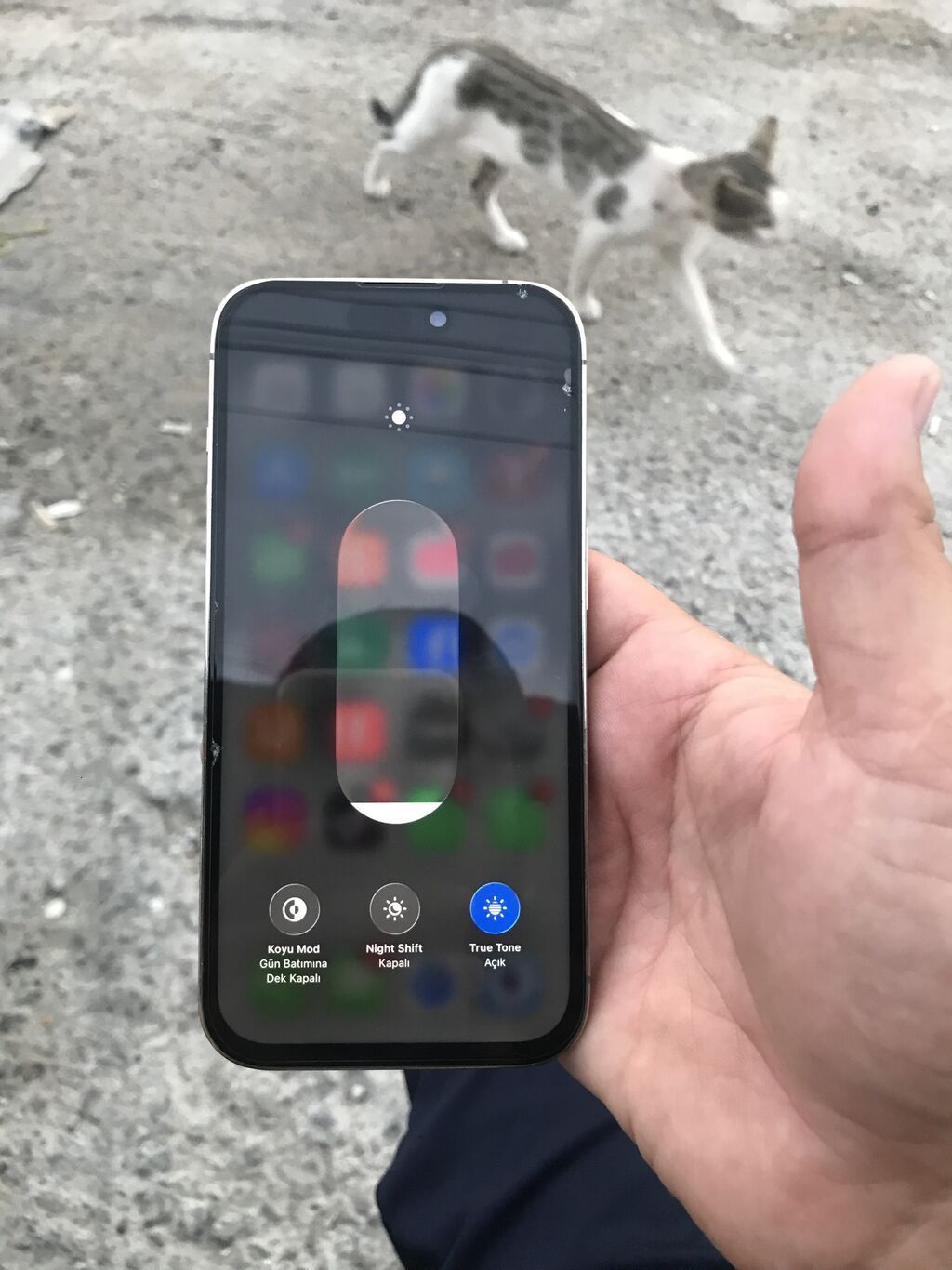 IPhone 14 Pro, 256 GB, Matte Gold, Face ID, Sənədlərlə — Apple iPhone, Digah (5)