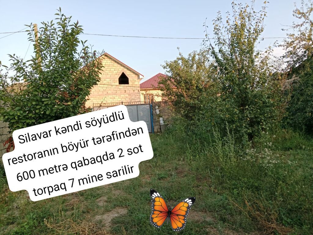 2 sot — Torpaq, Lənkəran
