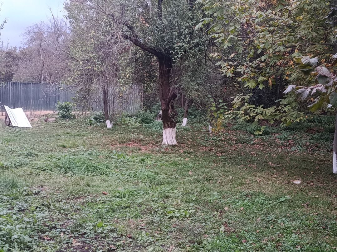 12 sot torpaq sahəsi, İsmayıllı r. — Torpaq, İsmayıllı