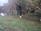 12 sot torpaq sahəsi, İsmayıllı r. — Rəsul