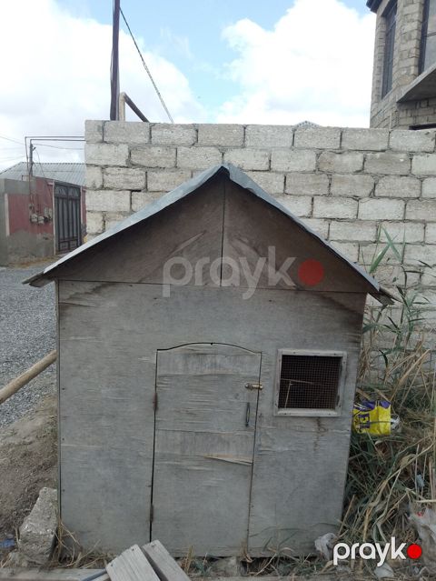 Taxta toyuq/heyvan daxması - Material: qalın faner taxta karkas