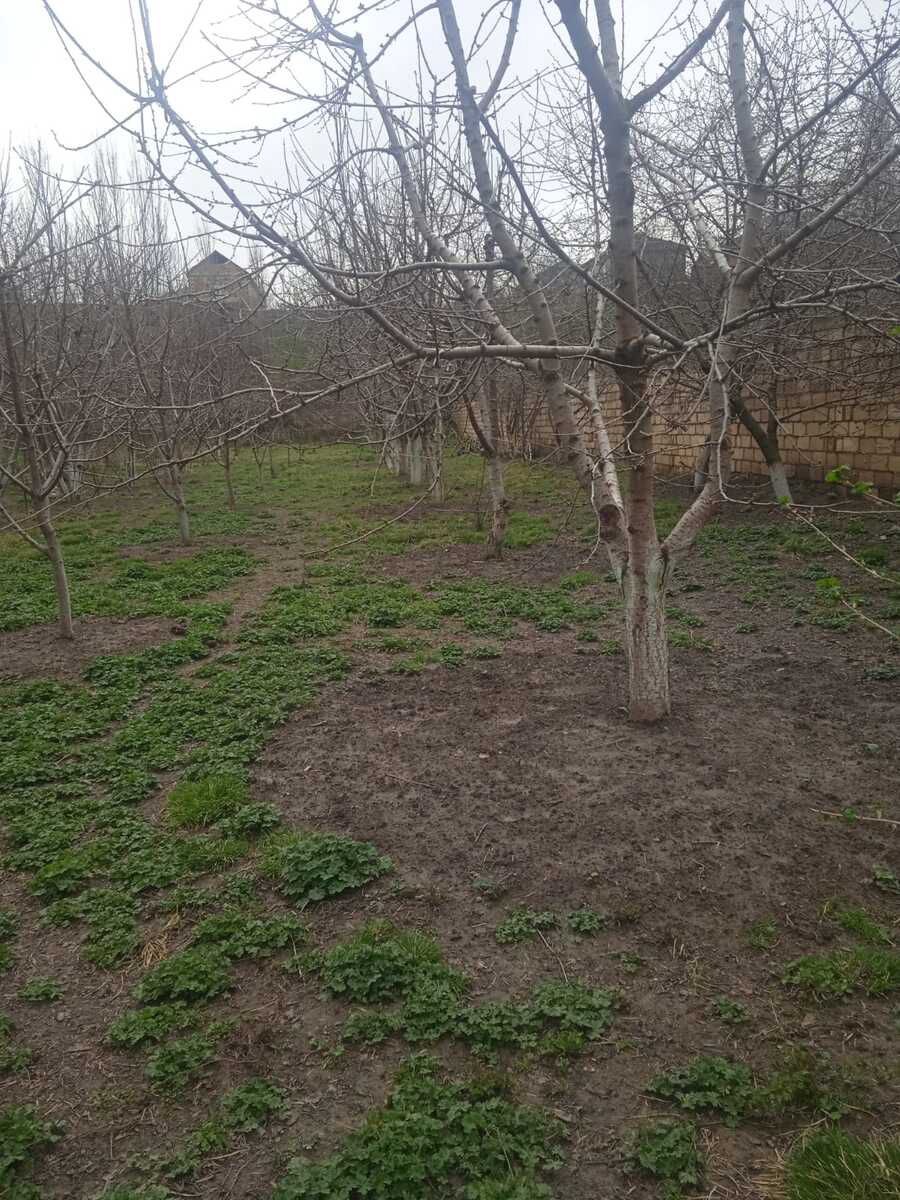 8 sot torpaq sahəsi, Quba r. — Torpaq, Bakı