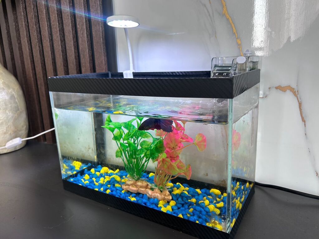 Masaüstü şüşə akvarium dəsti — LED lampa və filtr ilə