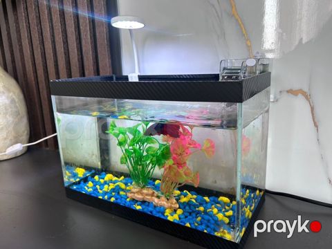 Masaüstü şüşə akvarium dəsti — LED lampa və filtr ilə