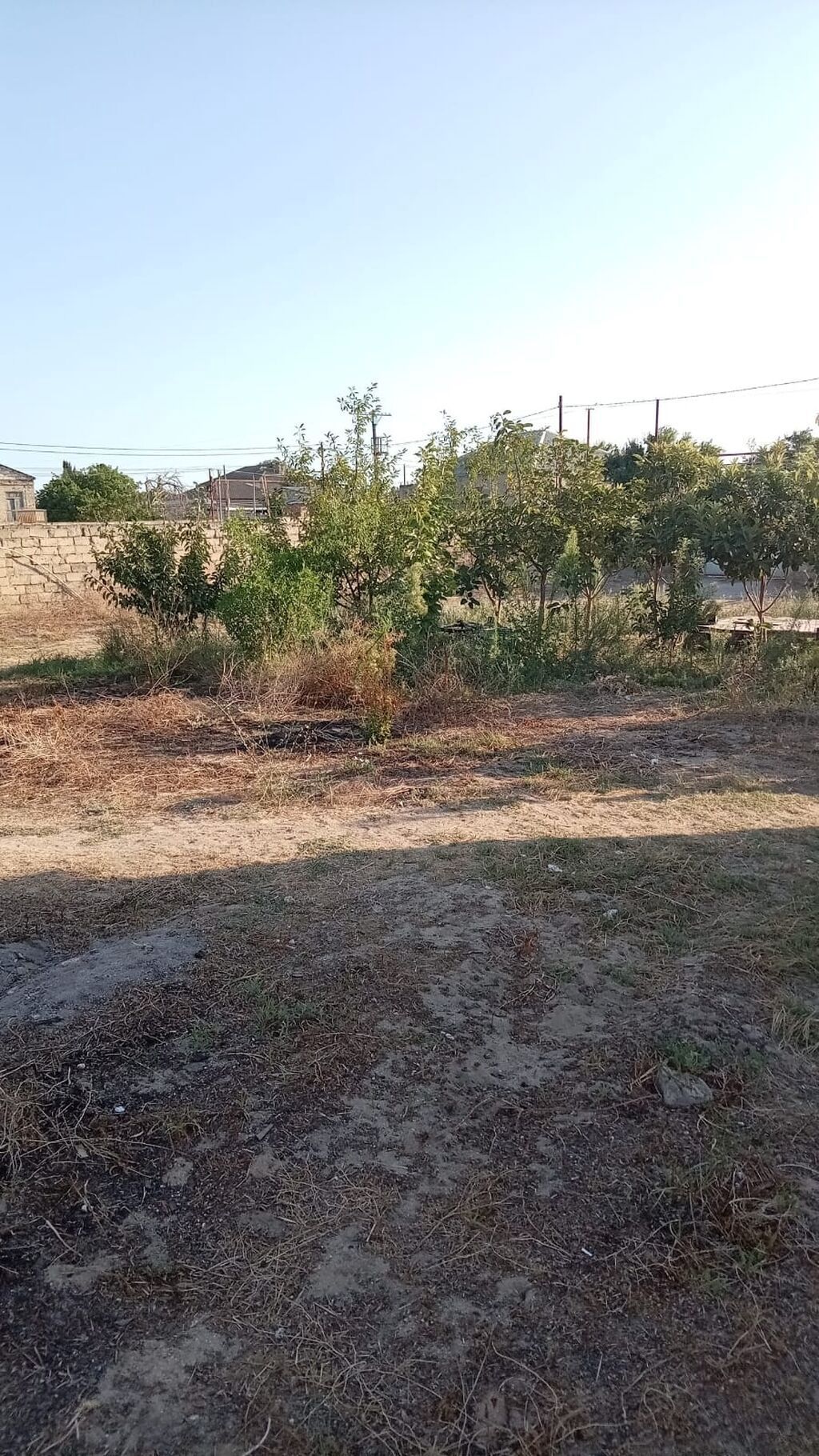 6 sot, Tikinti, Mülkiyyətçi, Kupça (Çıxarış) — Torpaq, Bakı