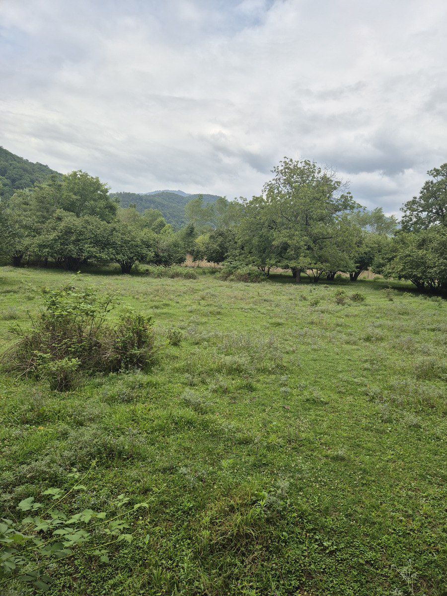 Satılır torpaq 4 sot — Torpaq, Qəbələ (11)