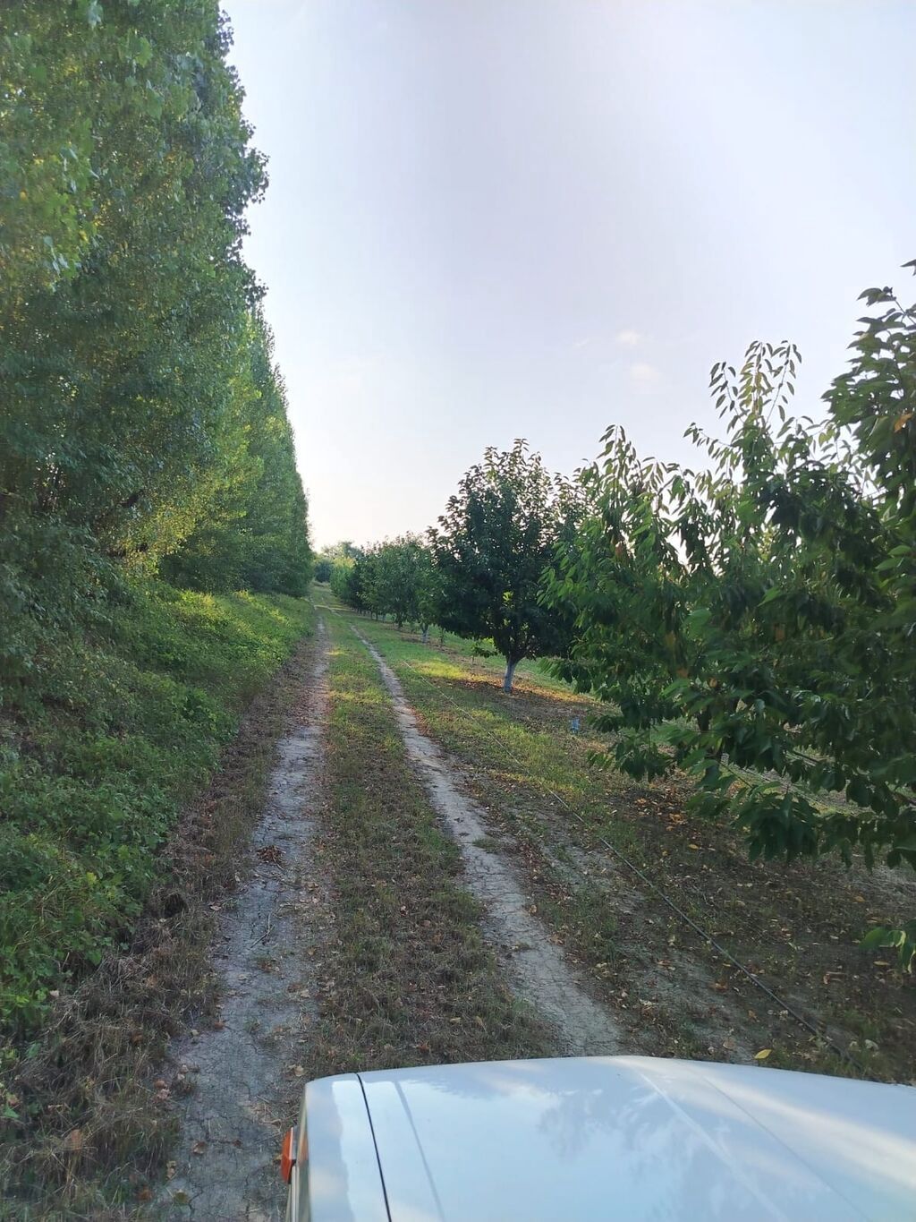180 sot Kənd təsərrüfatı, Su — Torpaq, Qusar (3)