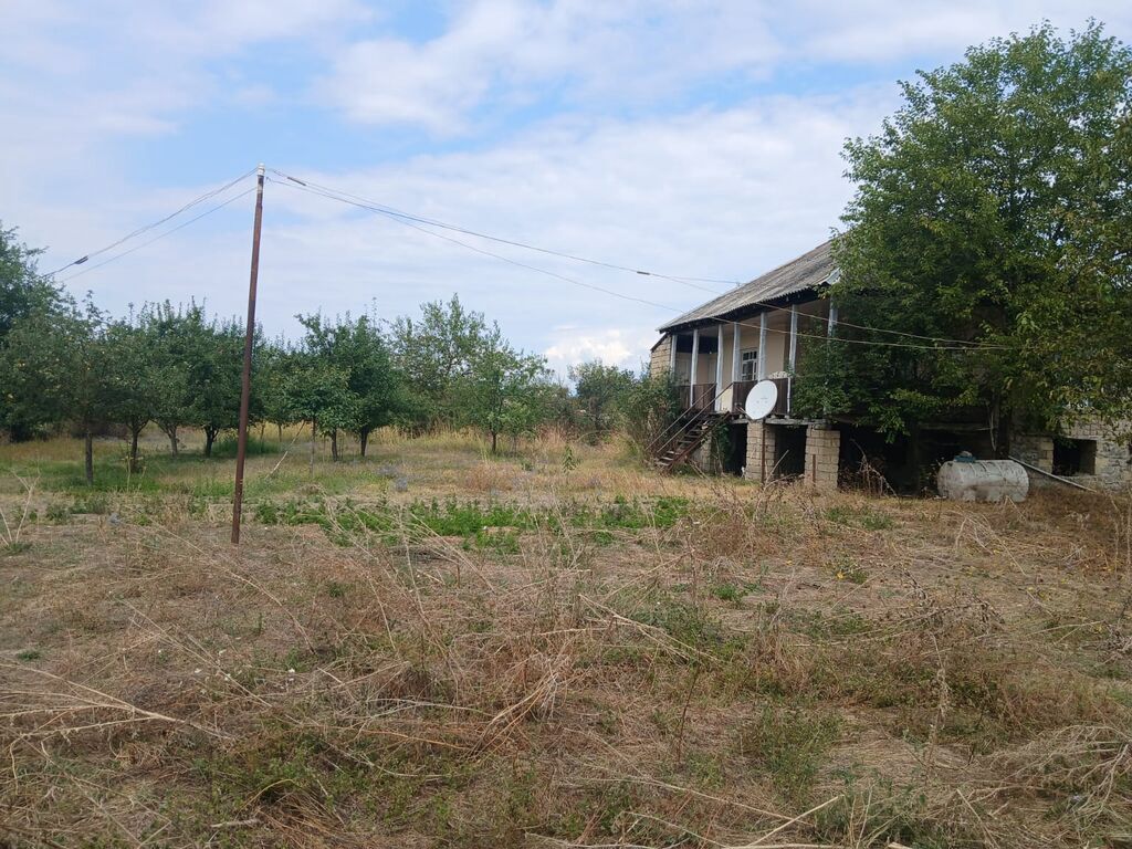 Kənd təsərrüfatı — Torpaq, Qəbələ (6)