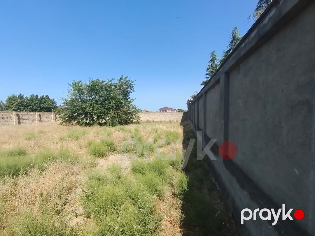 Satılır torpaq 8 sot — Torpaq, Bakı (3)