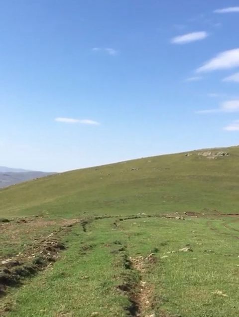 6 sot torpaq sahəsi, Göygöl r.