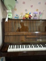 Oktava upright pianino Salam, Alman istensalıdır, keyfiyetlidir — Musiqi Alətləri