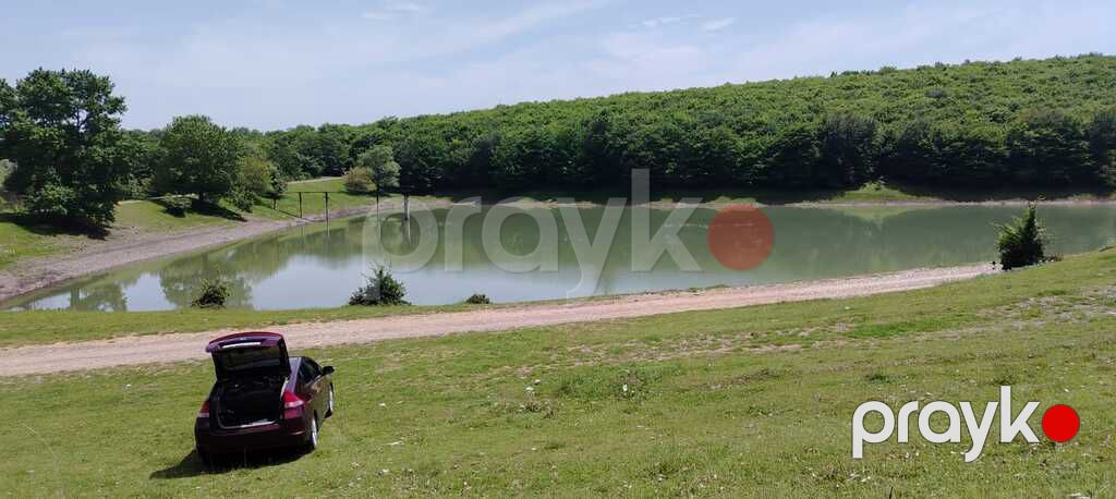 80 sot torpaq sahəsi, Quba r — Torpaq, Quba (12)