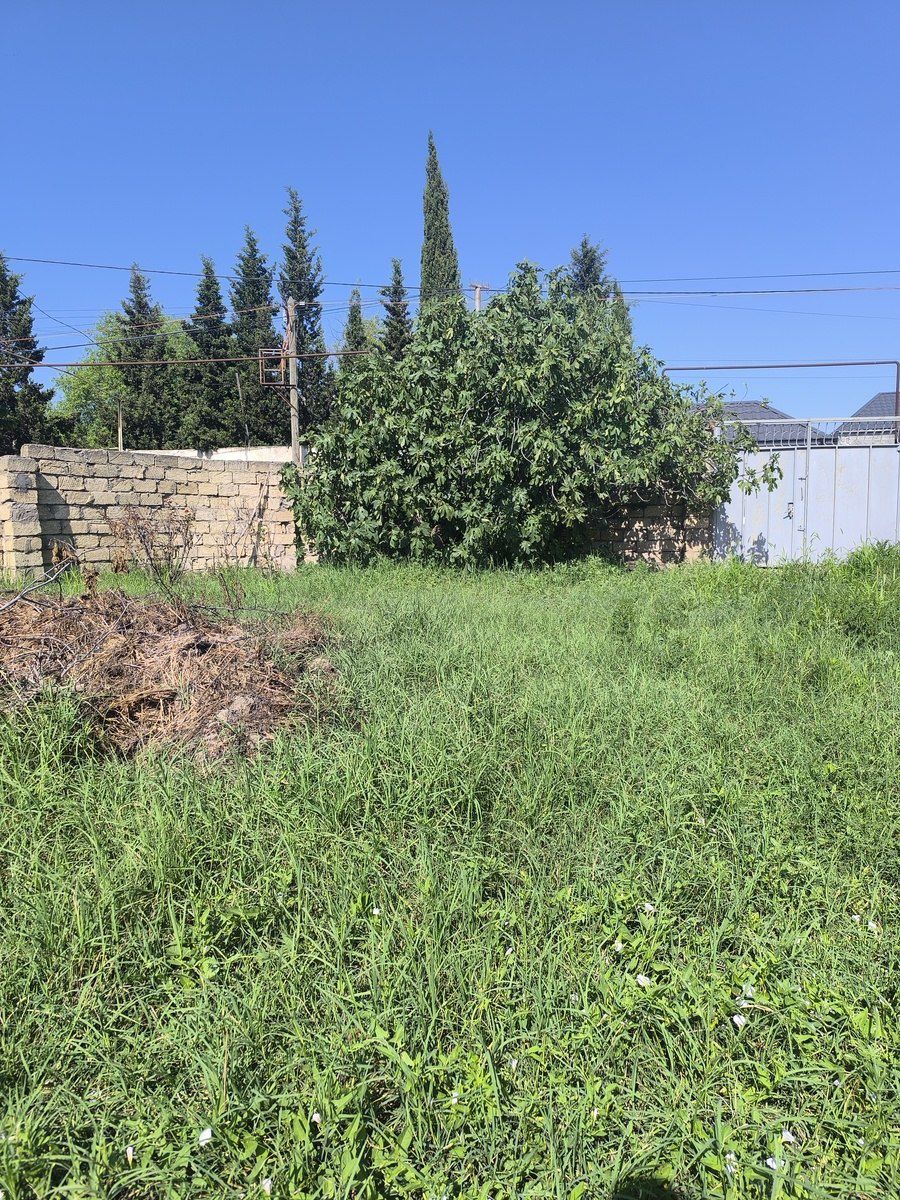 Satılır torpaq 4 sot — Torpaq, Bakı (8)