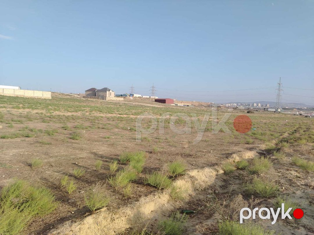 41 sot torpaq sahəsi, Saray qəs — Torpaq, Bakı (6)