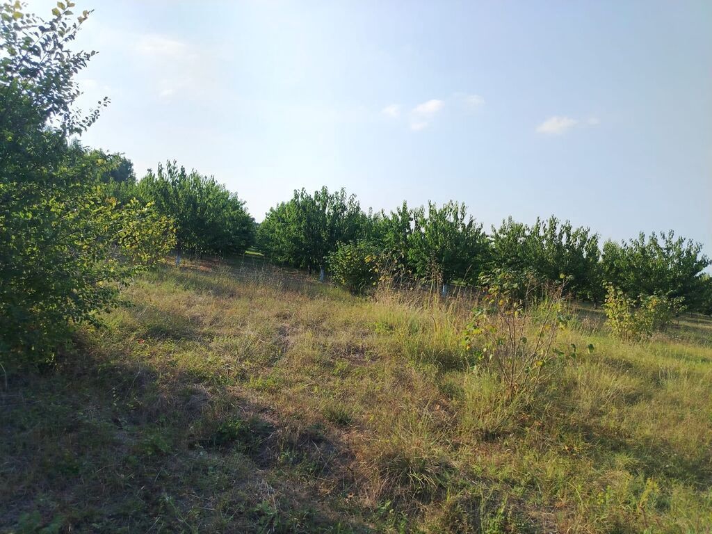 180 sot Kənd təsərrüfatı, Su — Torpaq, Qusar (4)
