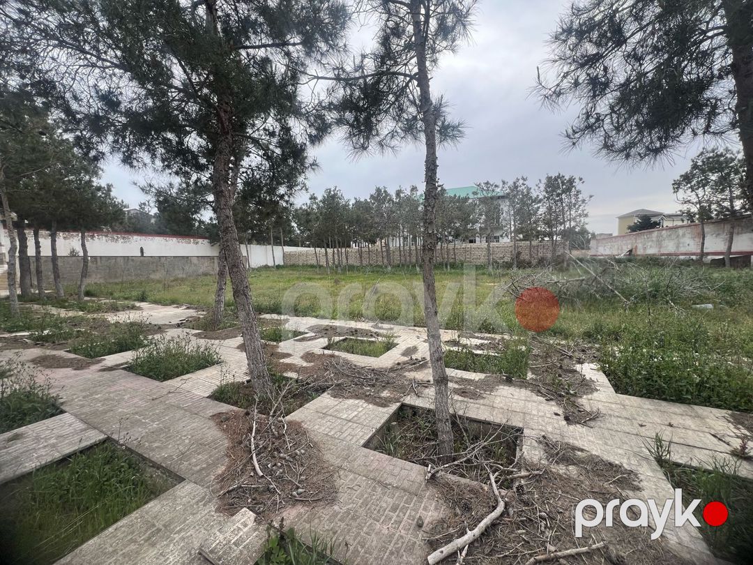 Satılır torpaq 10 sot — Torpaq, Bakı (8)