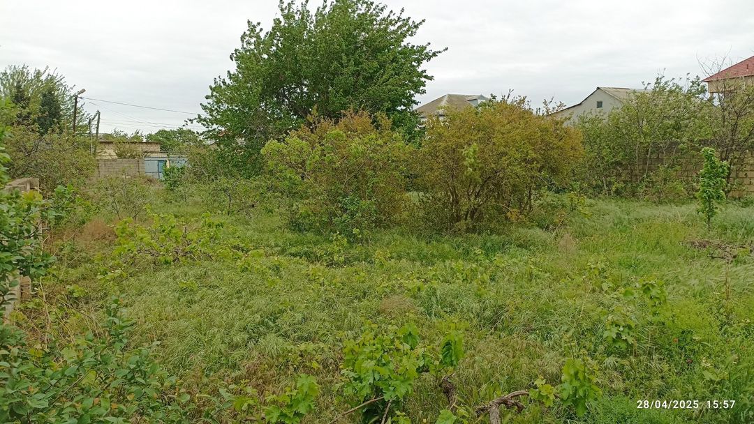 Satılır torpaq 10 sot — Torpaq, Sumqayıt (5)
