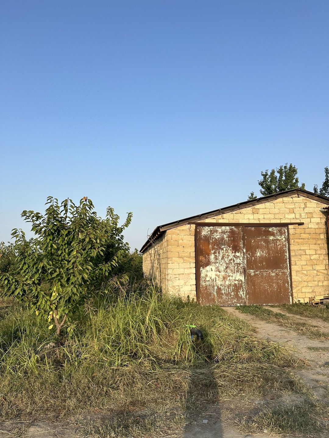 Satılır torpaq 200 sot — Torpaq, Xaçmaz