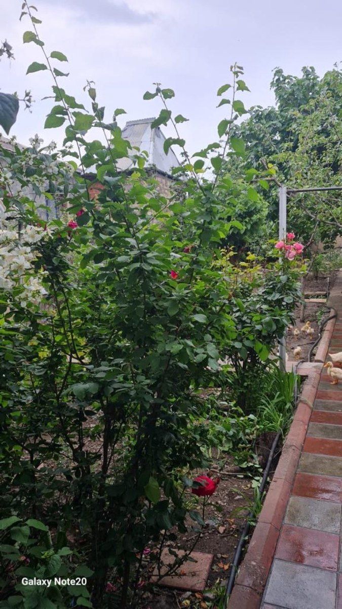 Həyət evi, Gəncə ş. — Daşınmaz əmlak, Gəncə (5)