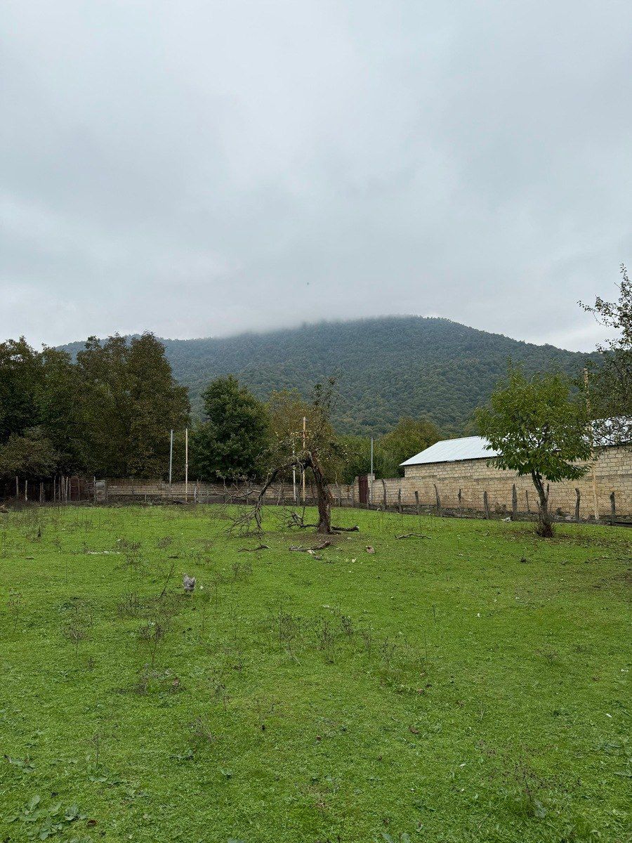Satılır torpaq 4 sot — Torpaq, Qəbələ