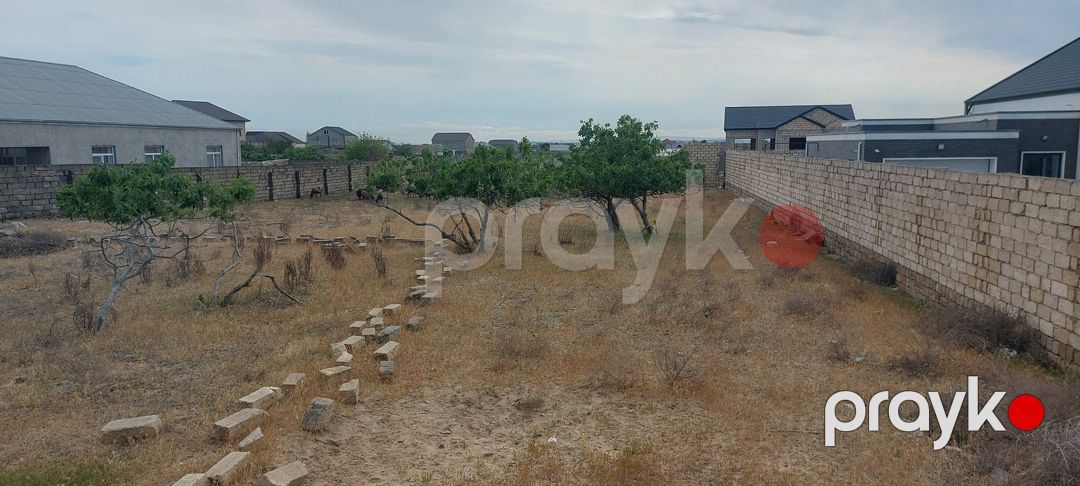 Satılır torpaq 24 sot — Torpaq, Bakı (5)