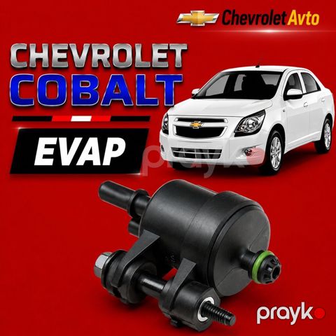 Chevrolet Cobalt evap 2011-2024 Chevrolet cobalt evap Chevrolet