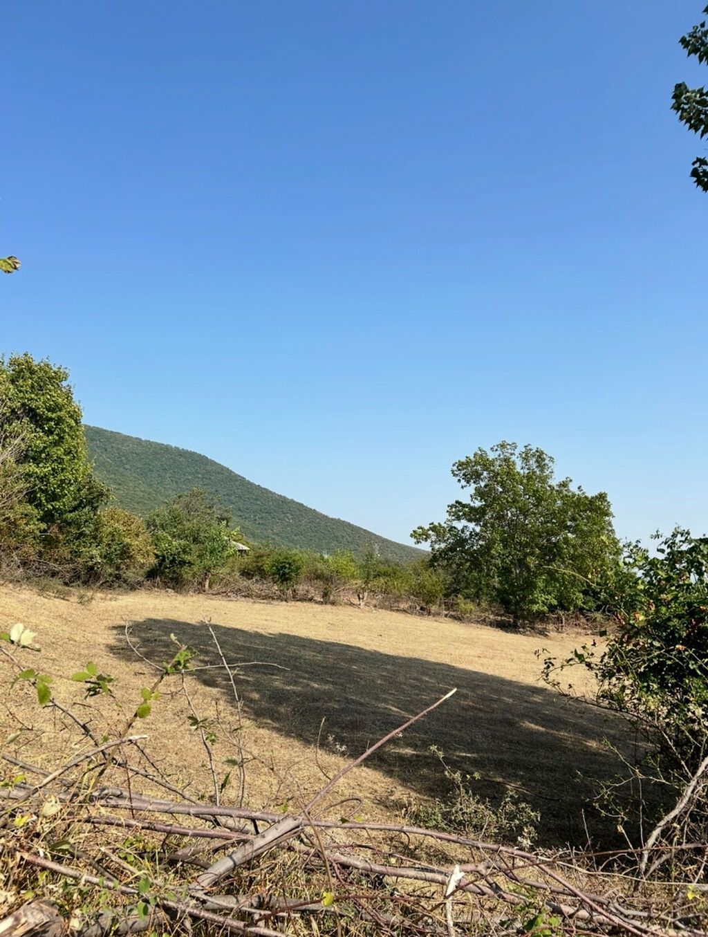 12 sot, Tikinti, Mülkiyyətçi, Kupça (Çıxarış) — Torpaq, Oğuz (2)