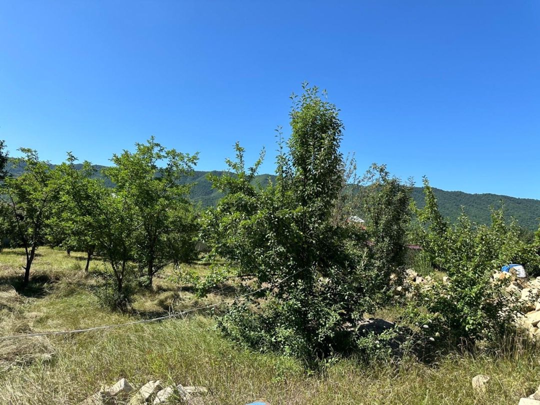Satılır torpaq 18 sot — Torpaq, Qusar (6)
