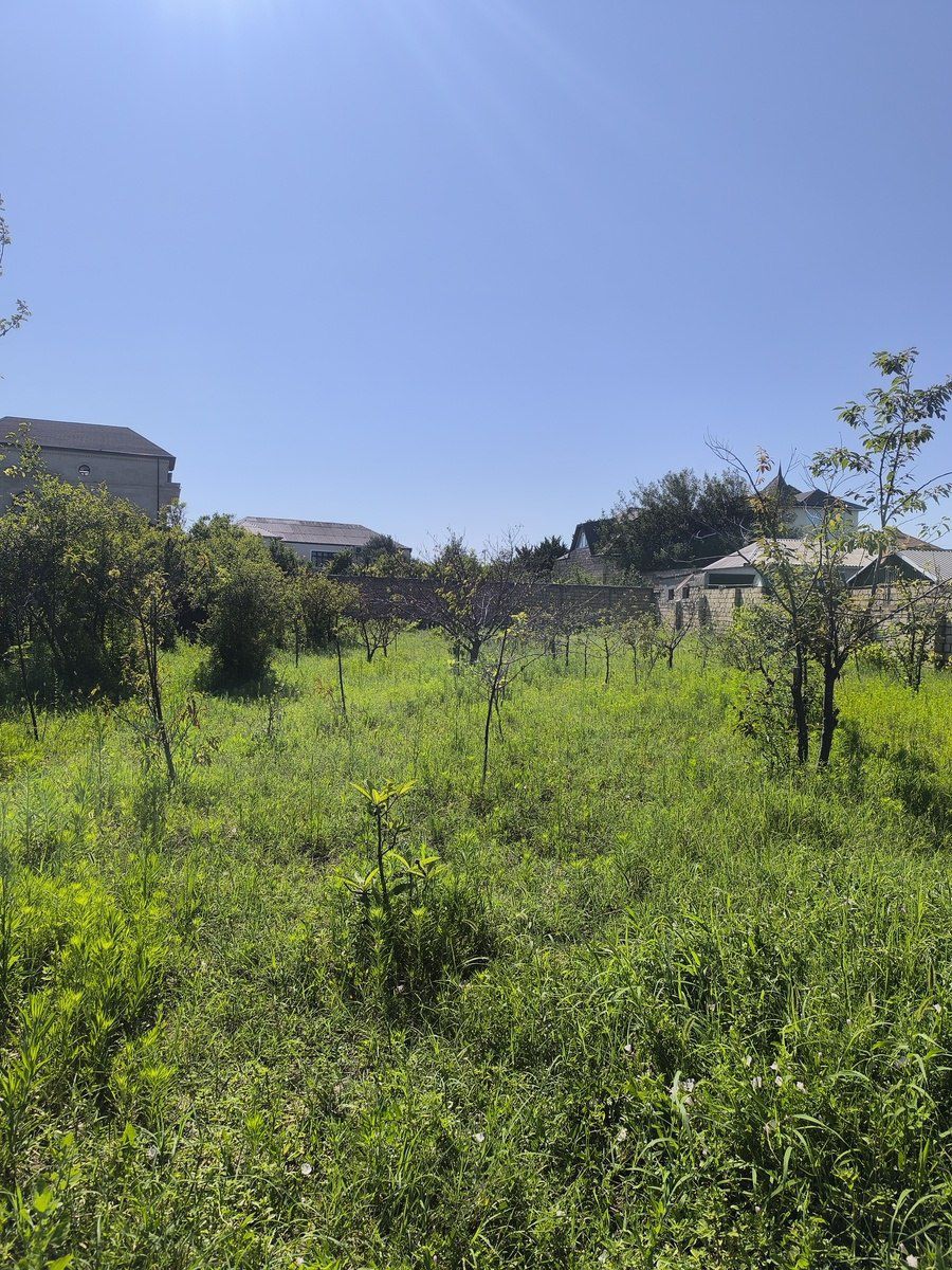 Satılır torpaq 4 sot — Torpaq, Bakı (7)