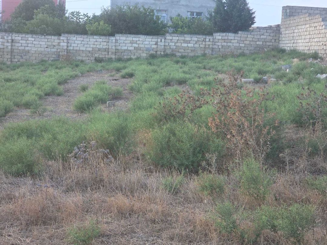 Satılır torpaq 3 sot — Torpaq, Bakı