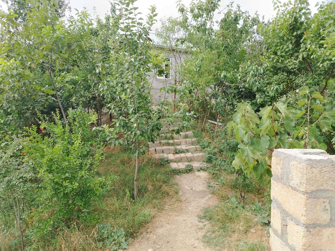 Həyət evi, Şamaxı r. — Ev, villa, Şamaxı (2)
