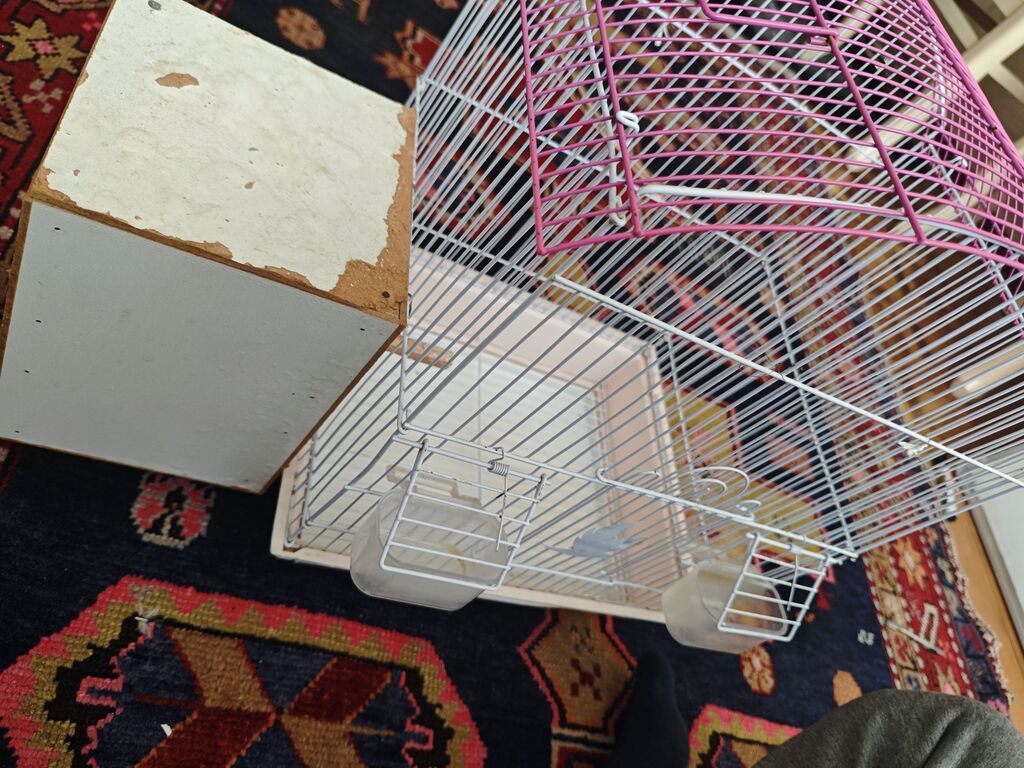 Quş qəfəsi və yuvalıq dəsti - Material: metal barmaqlıqlar, plastik — Qəfəslər, Bakı (2)