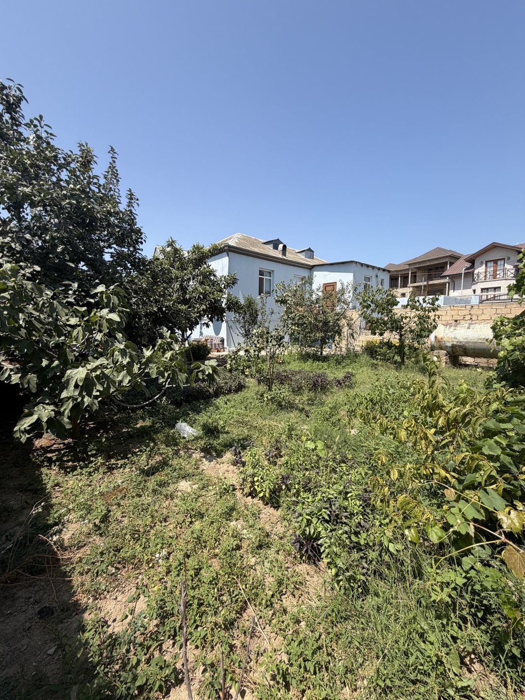 Satılır 6 otaqlı həyət evi/bağ evi 170 m² — Ev, villa, Bakı
