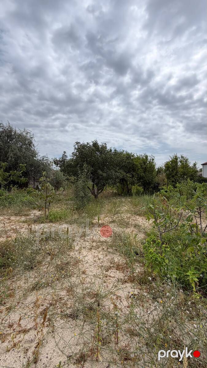 Satılır torpaq 4 sot — Torpaq, Bakı (12)